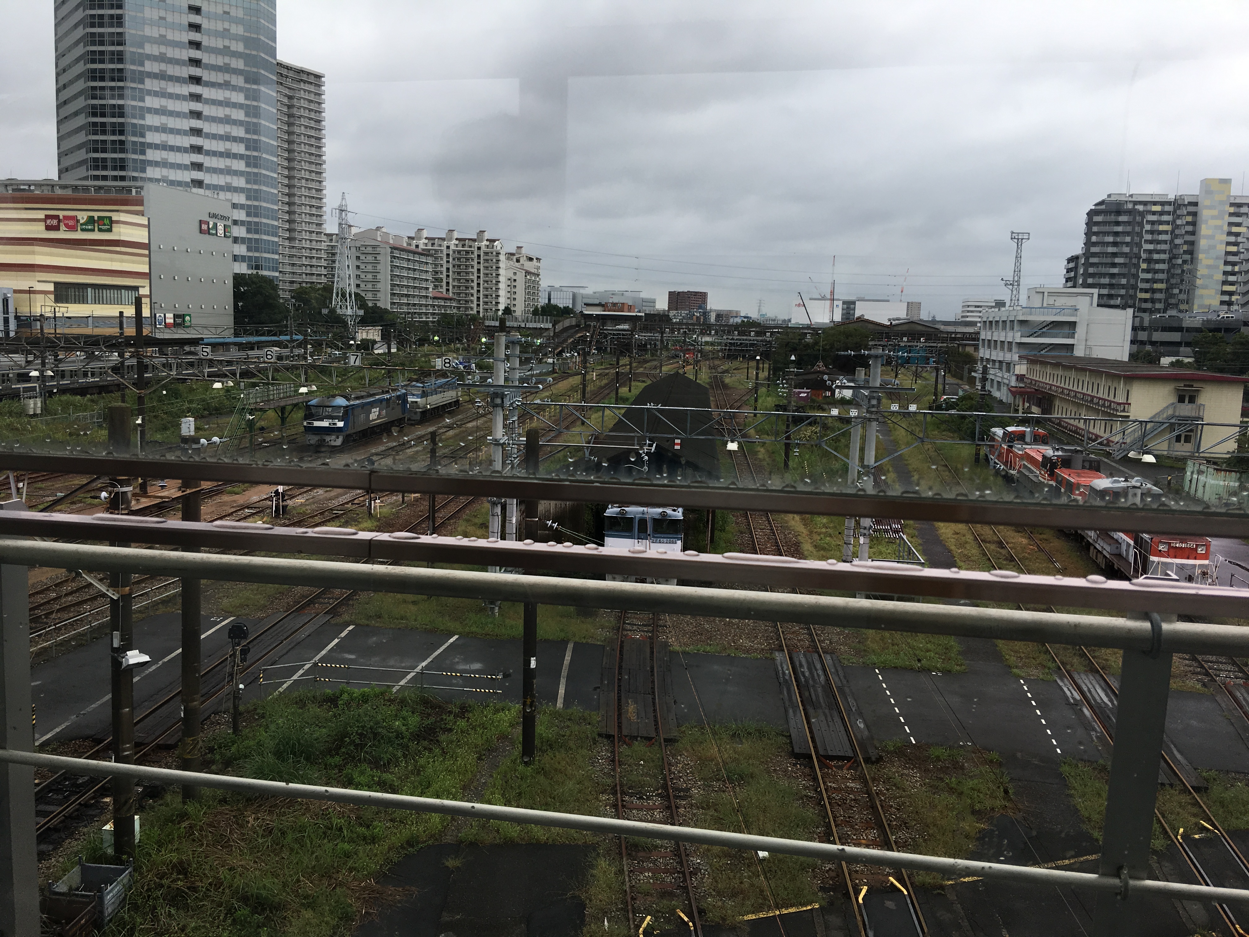 かわさき史跡めぐり ―夢見ヶ崎の歴史と紅葉狩り―